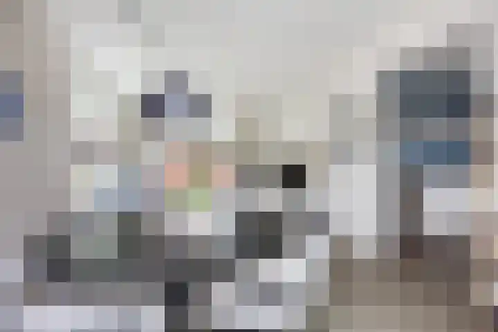 Dikkerslaan 14 Borne thumbnail 15