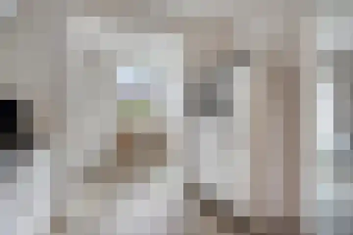 Dikkerslaan 14 Borne thumbnail 19
