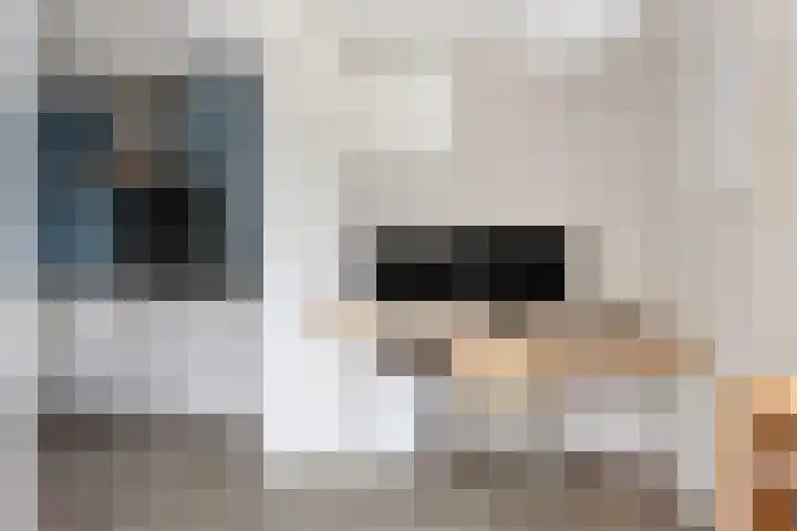 Dikkerslaan 14 Borne thumbnail 21