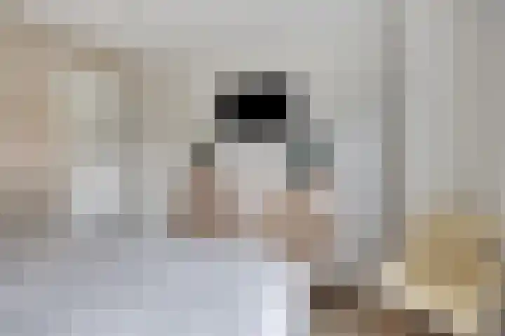 Dikkerslaan 14 Borne thumbnail 24