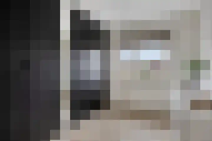 Dikkerslaan 14 Borne thumbnail 27