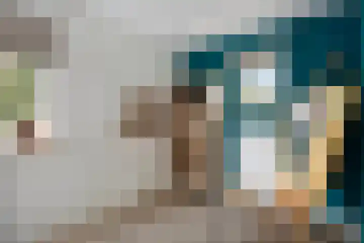Dikkerslaan 14 Borne thumbnail 28