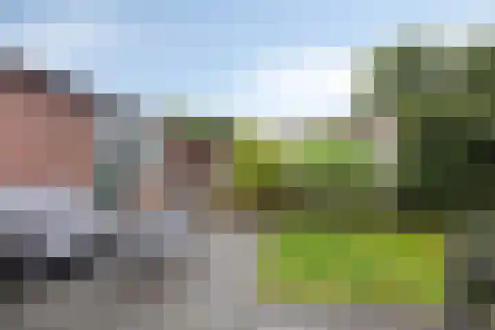 Dikkerslaan 14 Borne thumbnail 30