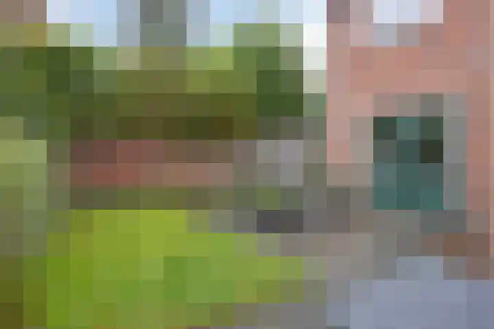Dikkerslaan 14 Borne thumbnail 31