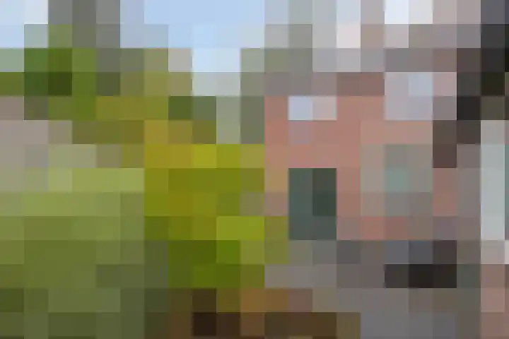 Dikkerslaan 14 Borne thumbnail 33