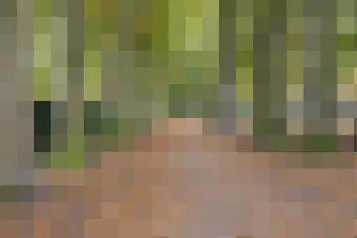 Dikkerslaan 14 Borne thumbnail 34