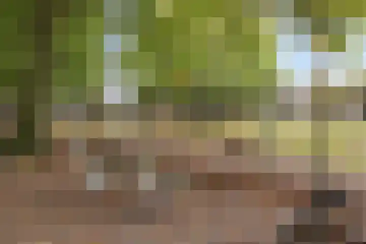 Dikkerslaan 14 Borne thumbnail 35