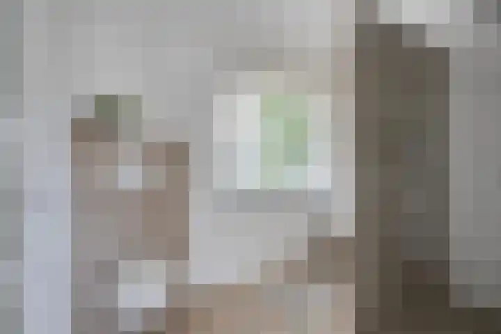 Dikkerslaan 14 Borne thumbnail 4