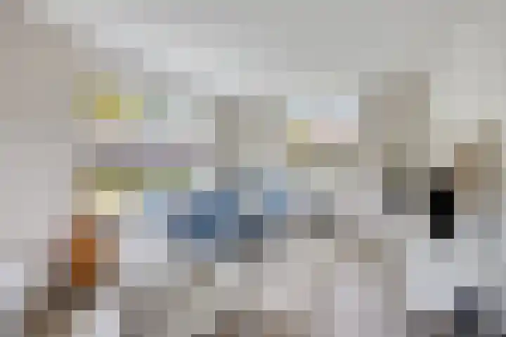 Dikkerslaan 14 Borne thumbnail 9