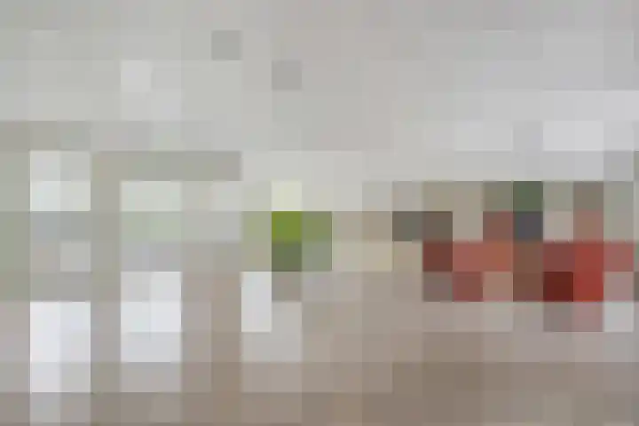 Dikkersstraat 1 102 Ommen thumbnail 25