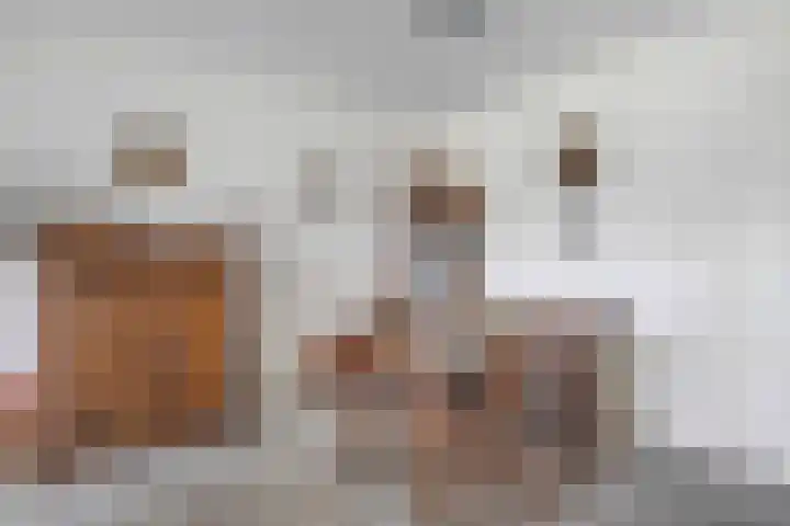 Dikkersstraat 1 102 Ommen thumbnail 8