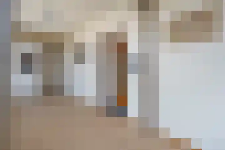 Dikkersstraat 1 116 Ommen thumbnail 11