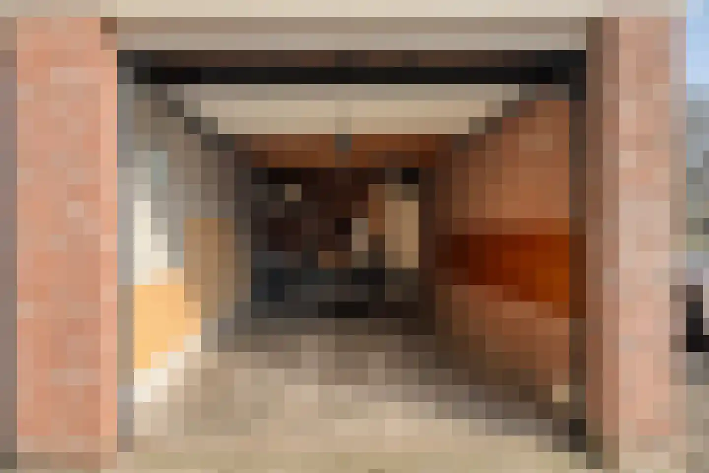 Dikkersstraat 1 116 Ommen thumbnail 29