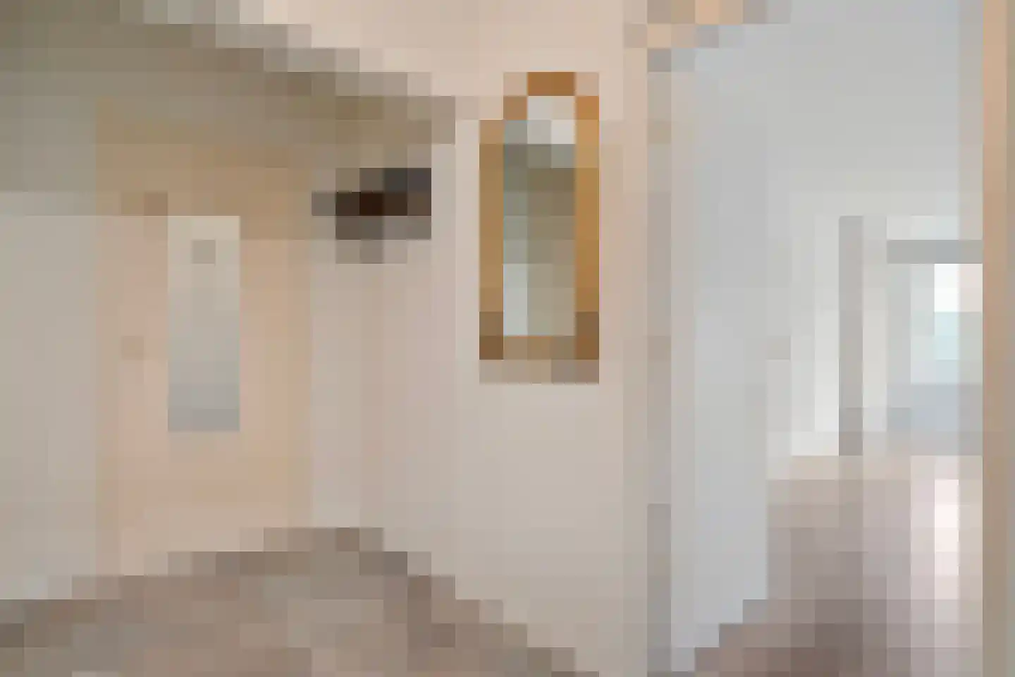 Dikkersstraat 1 206 Ommen thumbnail 20