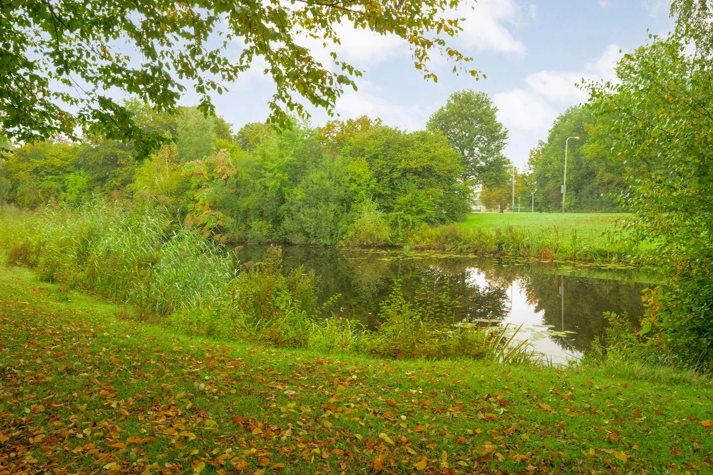 Dikkersstraat 1 206 Ommen thumbnail 32