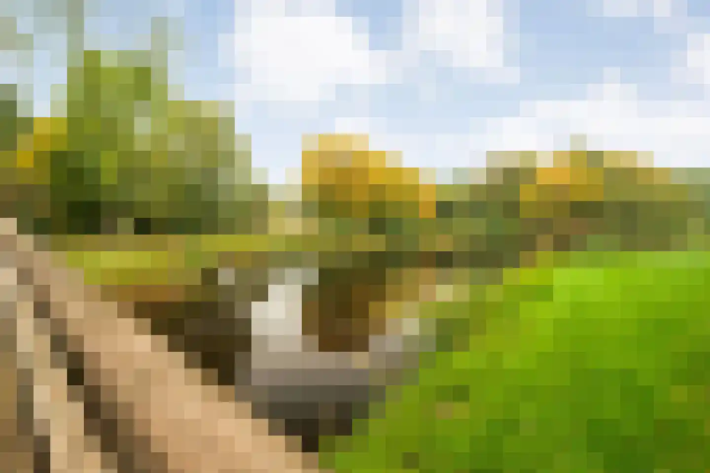 Dikkersstraat 1 206 Ommen thumbnail 33