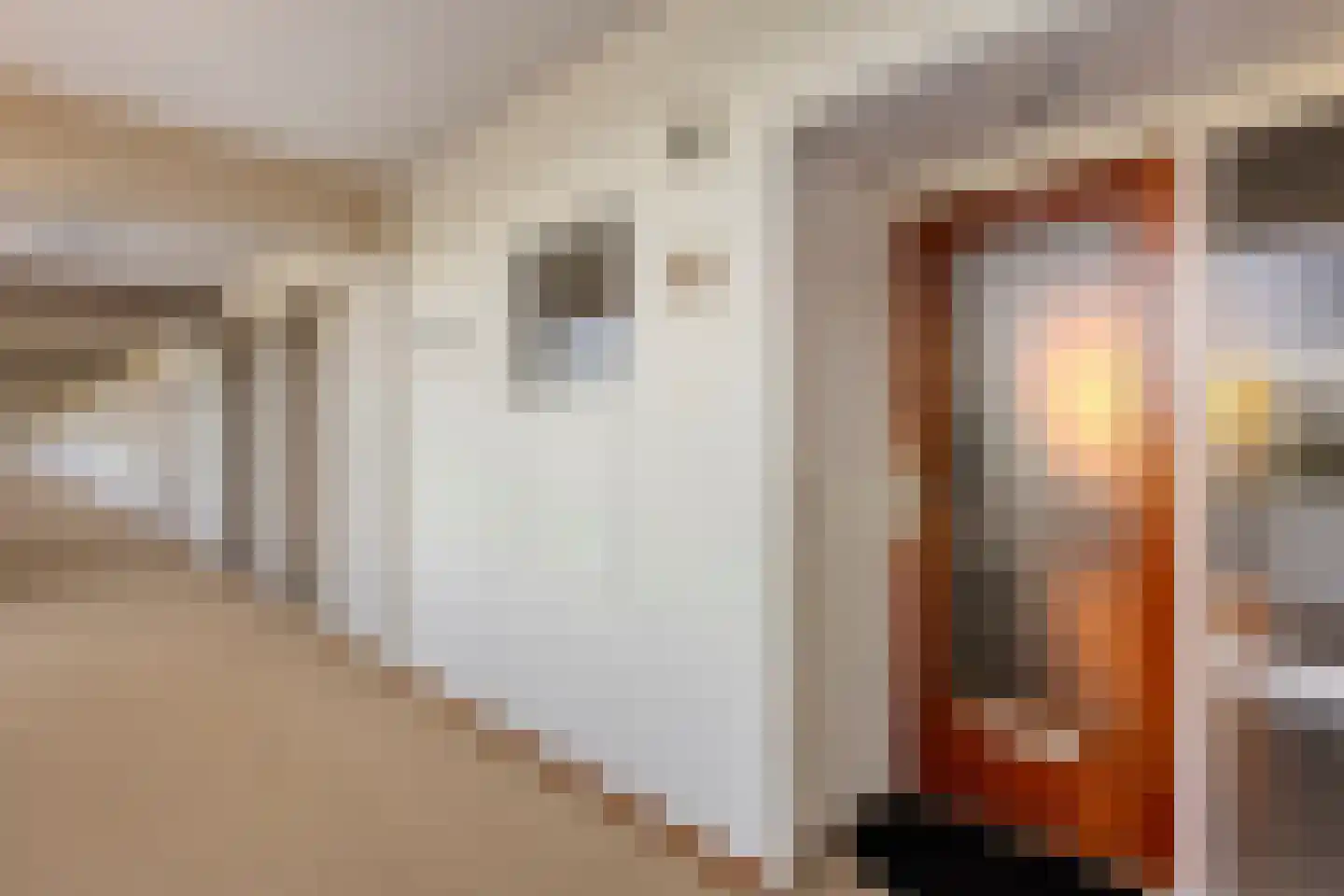 Dikkersstraat 1 209 Ommen thumbnail 40