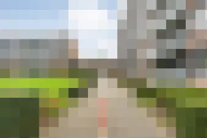 Dikkersstraat 1 316 Ommen thumbnail 10