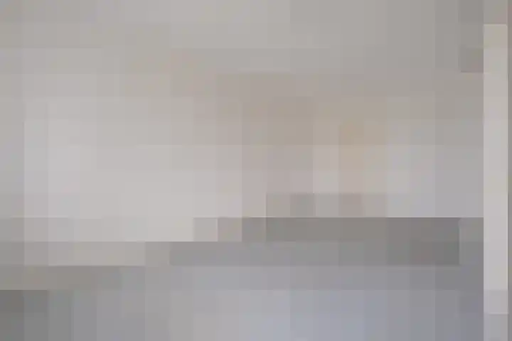 Dikkersstraat 1 316 Ommen thumbnail 30