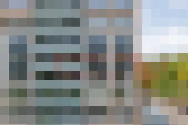 Dikkersstraat 1 316 Ommen thumbnail 6