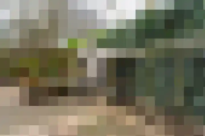 Dikkersstraat 1 409 Ommen thumbnail 11