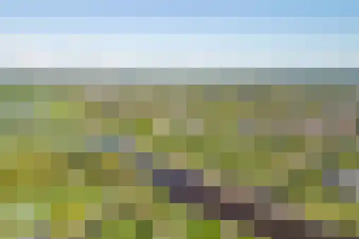 Dikkersstraat 1 409 Ommen thumbnail 6