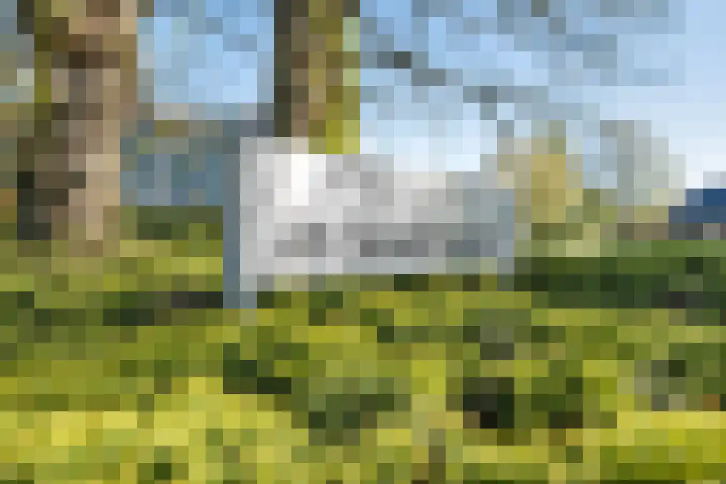Dikkersstraat 1 516 Ommen thumbnail 33