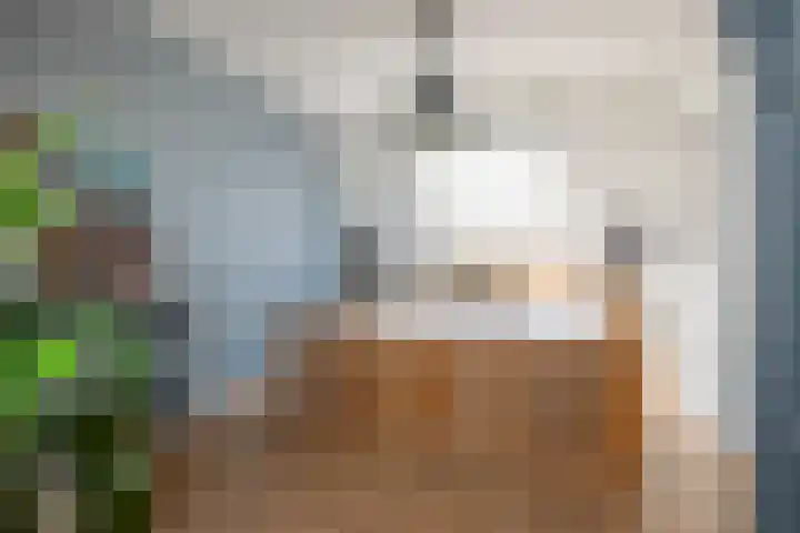 Dikkertje Dap 35 Gorinchem thumbnail 16