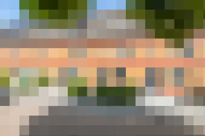 Dikkertje Dap 35 Gorinchem thumbnail 22
