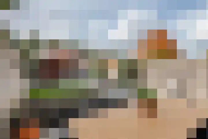 Dikkertje Dap 46 Gorinchem thumbnail 12