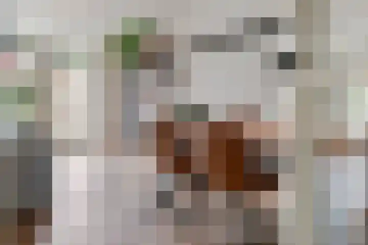 Dikkertje Dap 46 Gorinchem thumbnail 5