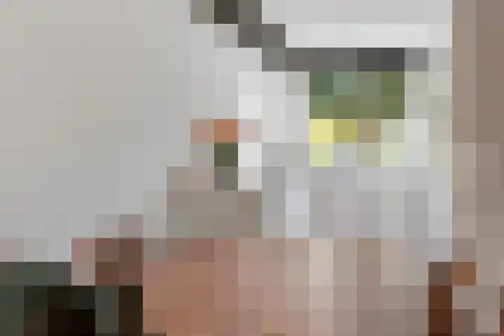 Dikkertje Dap 46 Gorinchem thumbnail 9