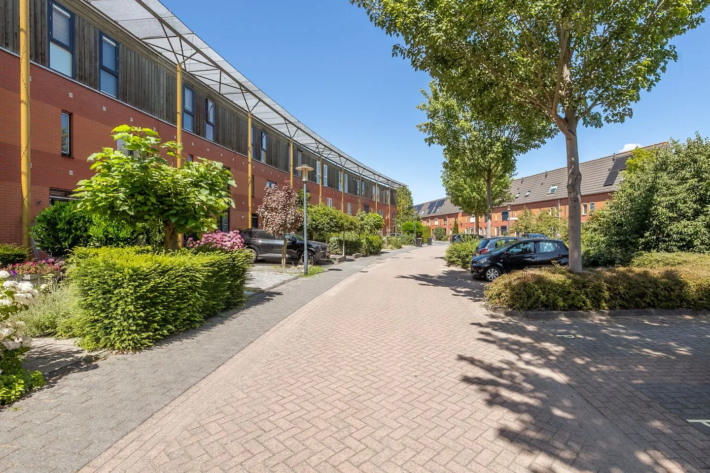 Dikkertje Dap 50 Gorinchem thumbnail 23