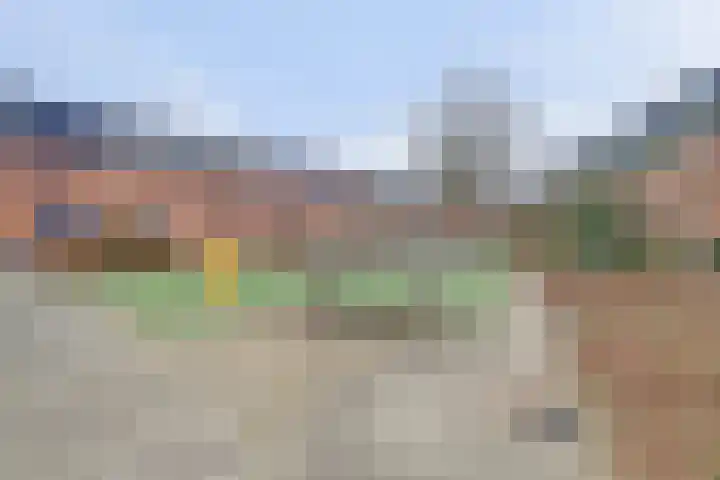 Dikkertje Dap 61 Gorinchem thumbnail 39