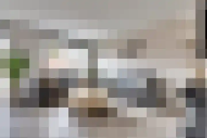 Dikkertje Dap 61 Gorinchem thumbnail 8