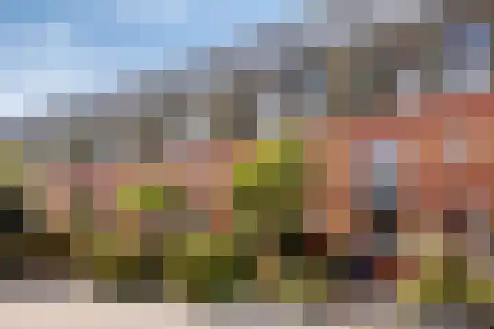 Dikkertje Dap 70 Gorinchem thumbnail 6