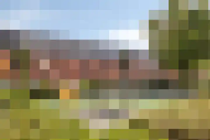 Dikkertje Dap 70 Gorinchem thumbnail 8