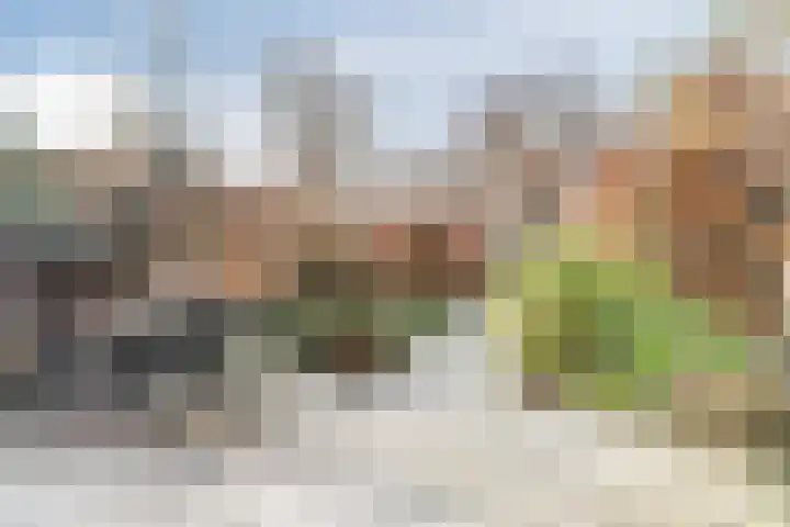 Dikkertje Dap 90 Gorinchem thumbnail 21