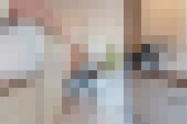 Dikkertje Dap 90 Gorinchem thumbnail 7