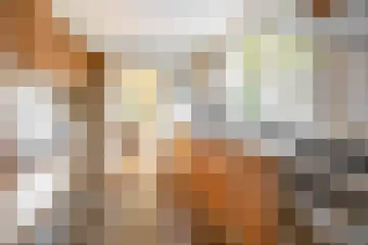 Dikkesteenweg 30 Havelte thumbnail 15