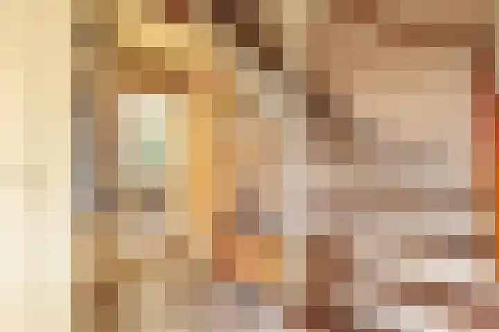 Dikkesteenweg 30 Havelte thumbnail 27