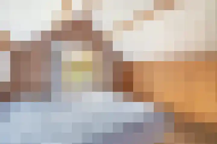 Dikkesteenweg 30 Havelte thumbnail 30