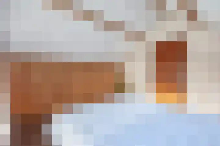 Dikkesteenweg 30 Havelte thumbnail 31
