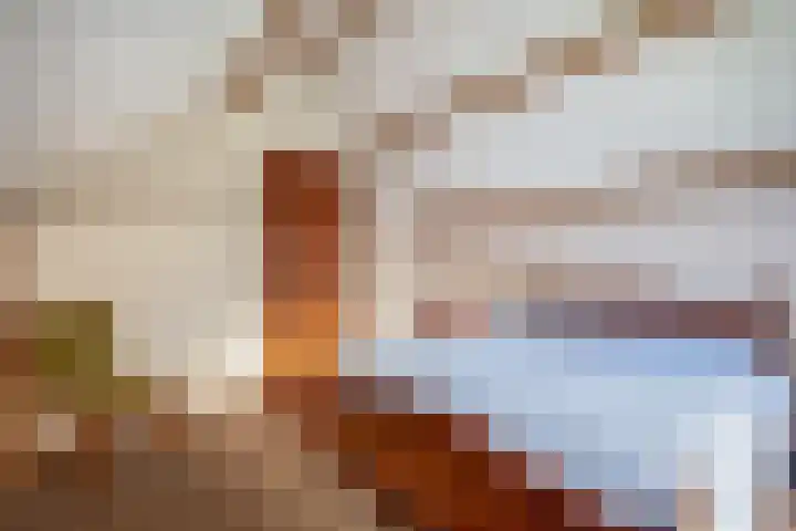 Dikkesteenweg 30 Havelte thumbnail 32