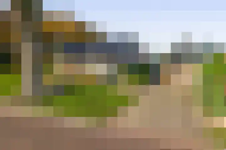 Dikkesteenweg 30 Havelte thumbnail 4
