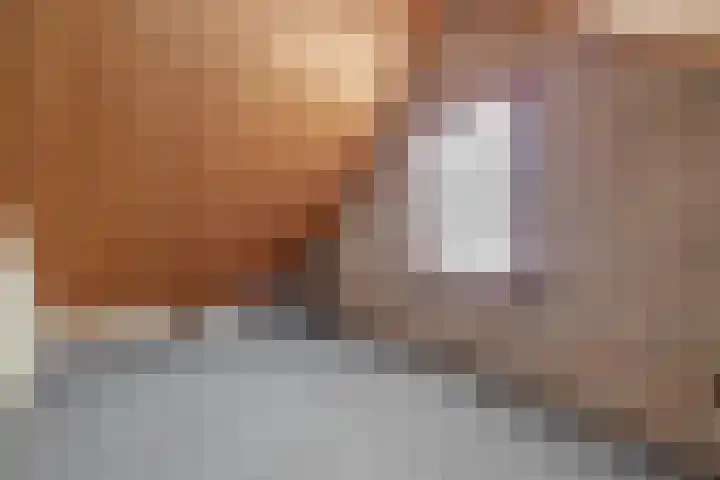 Dikkesteenweg 30 Havelte thumbnail 41