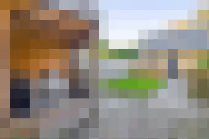 Dikkesteenweg 30 Havelte thumbnail 45