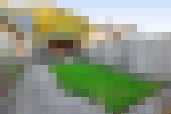 Dikkesteenweg 30 Havelte thumbnail 47