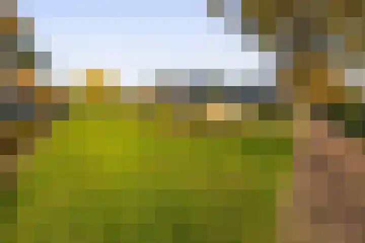 Dikkesteenweg 30 Havelte thumbnail 54