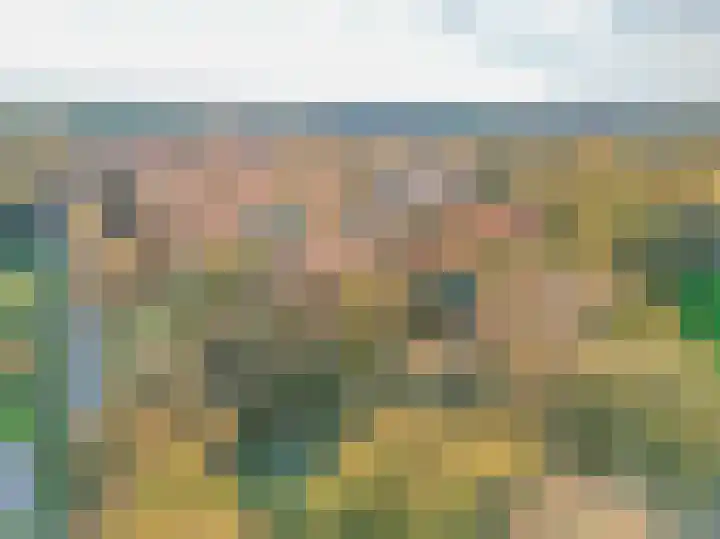 Dikkesteenweg 30 Havelte thumbnail 61